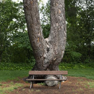  Parada en el Parque del Capricho
