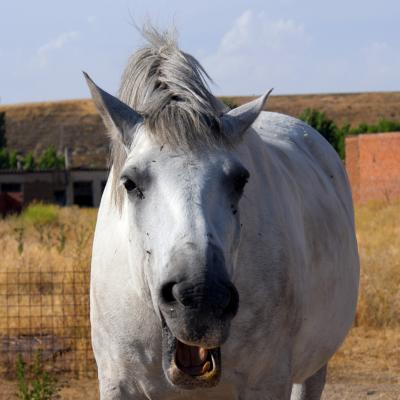  ¡Se me ha ido la olla!