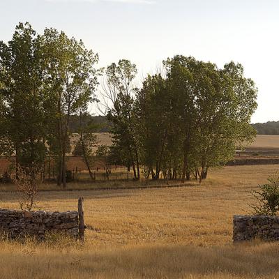  Puerta a la naturaleza