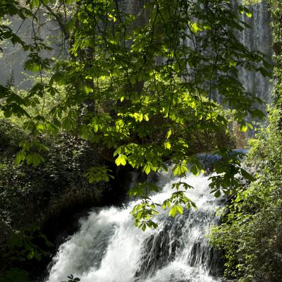  Monasterio de Piedra