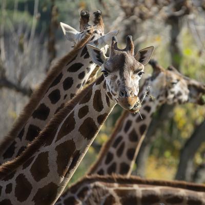  Fotografía AatEha te desea un Feliz 2019
