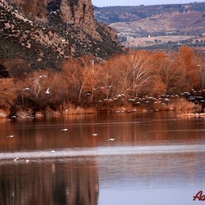  Otoño en El Campillo