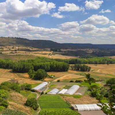 W Brihuega20210727 033