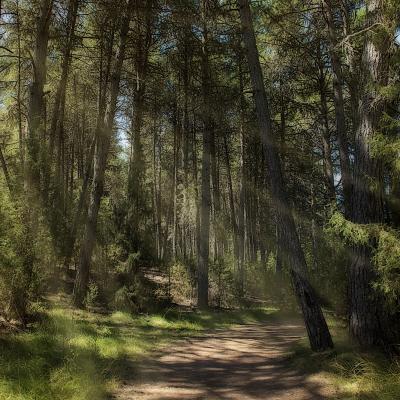  Cañón rí¬o Lobos