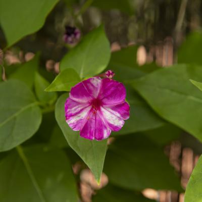 Casi ha pasado un año