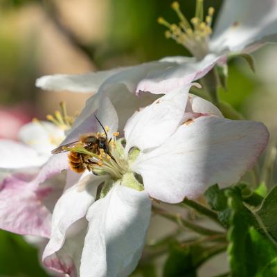 EMILIO HERNáNDEZ -  fotógrafo