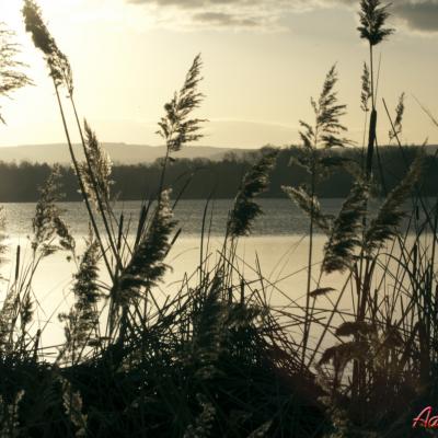  Despierta la laguna de El Campillo