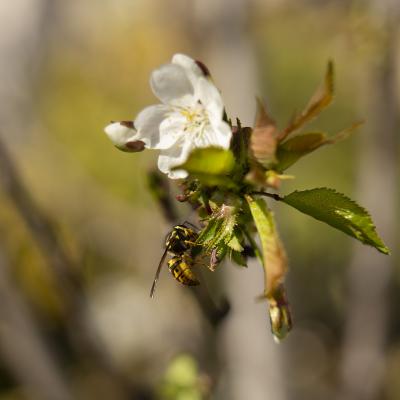  La naturaleza sigue su curso