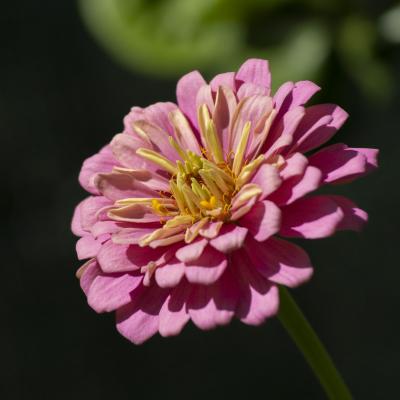  La vida esta llena de color