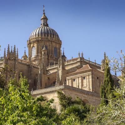 Catedral de Salamanca