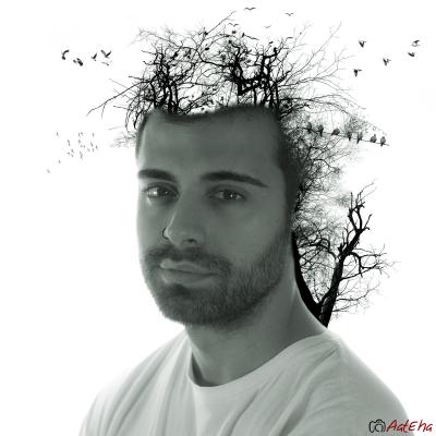  Muchos pájaros en la cabeza