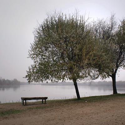 Otoño en El Campillo.