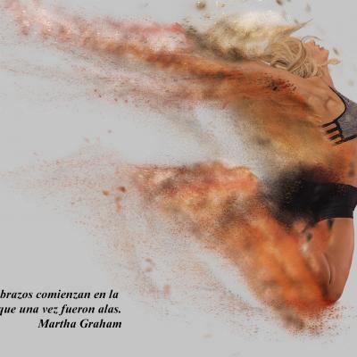 Los brazos una vez fueron alas...