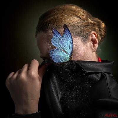 La magia de la mariposa