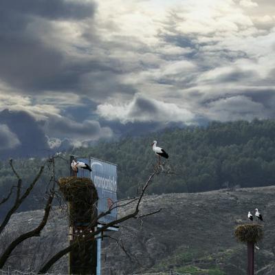  Comunidad de Cigüeñas