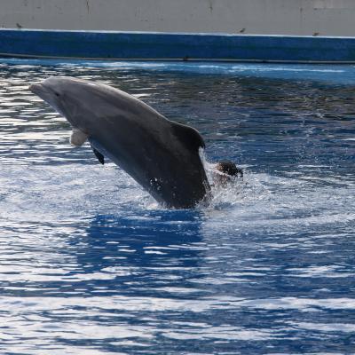 Andando sobre el agua