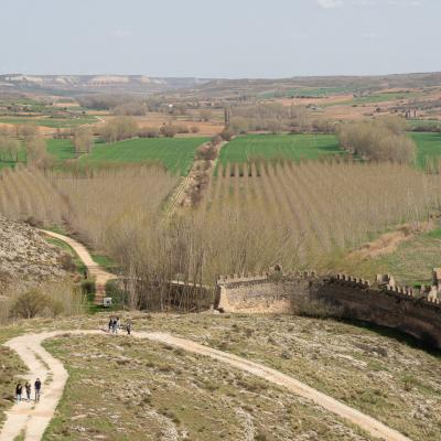 Berlanga de Duero